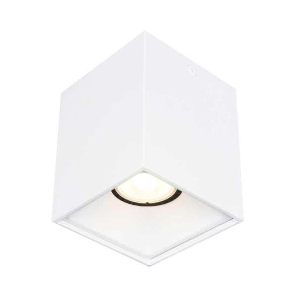 Накладной светильник ST LUCE ST168.502.01