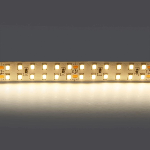 Светодиодная лента Lightstar 24W/m 240LED/m дневной белый 5M 421504