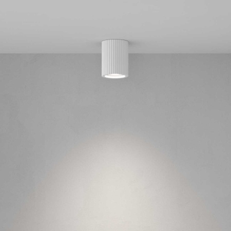 Потолочный светильник Maytoni Technical C121CL-GU10-W