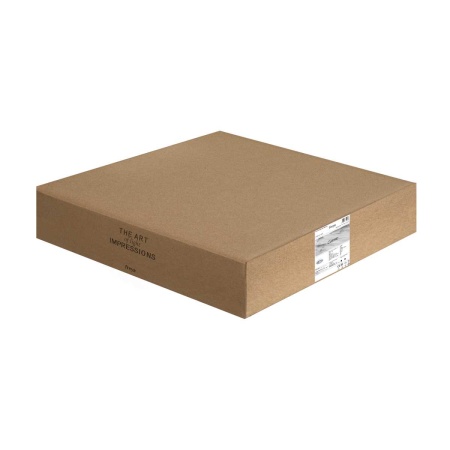 Потолочный светильник Freya Космический / Cosmic FR5457CL-L36B