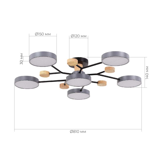 Потолочная светодиодная люстра Evoluce FAEMA SLE6006-702-06