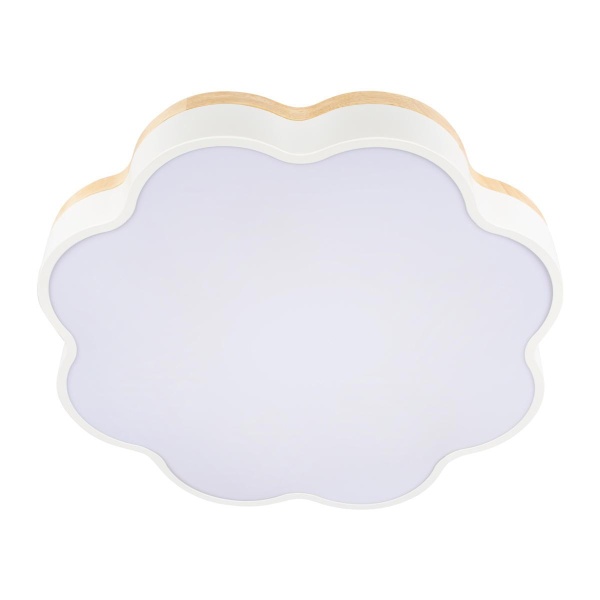 Потолочный светодиодный светильник Loft IT Axel 10225/36 White