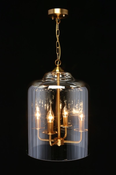 Подвесная люстра Aployt Polin APL.603.06.06