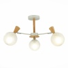 Потолочная люстра Evoluce Catania SLE220702-03