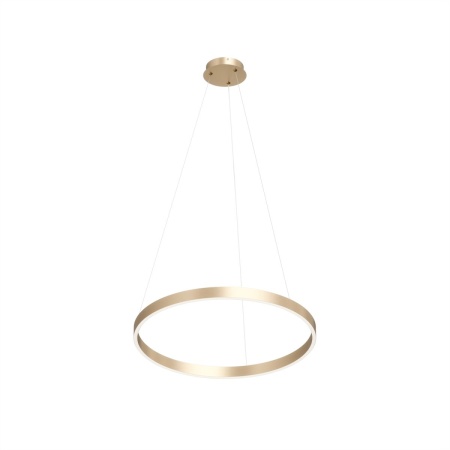 Подвесной светодиодный светильник Denkirs Raydia DK6273-SG