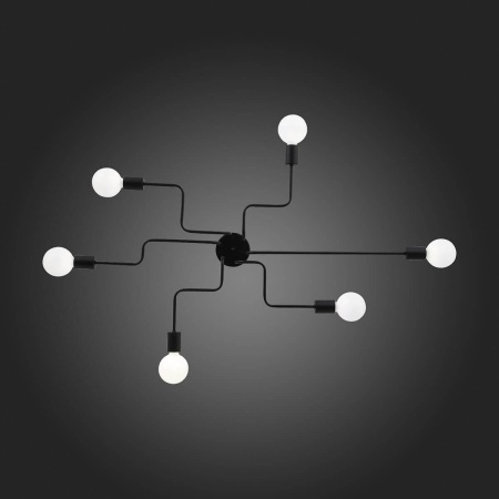 Потолочная люстра Evoluce Ano SL419.442.06