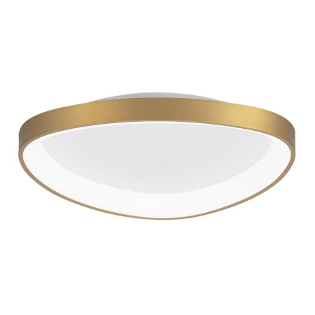 Потолочный светодиодный светильник Citilux Genka Smart CL756A142