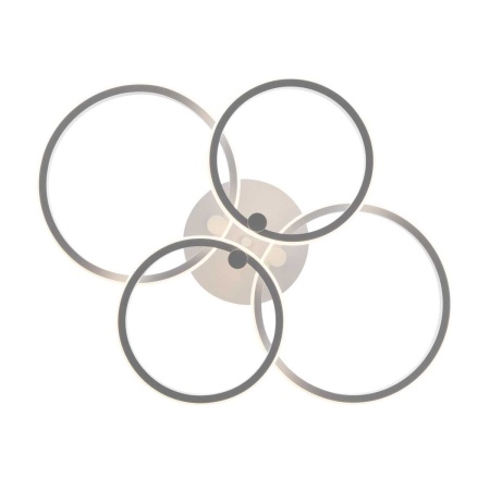 Потолочный светильник Freya FR10018CL-L40W