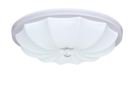 Потолочный светодиодный светильник Escada 10231/S LED