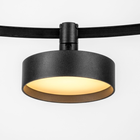 Трековый светодиодный светильник Lightstar Due 207437