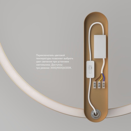 Настенный светодиодный светильник Denkirs Round DK5035-SG