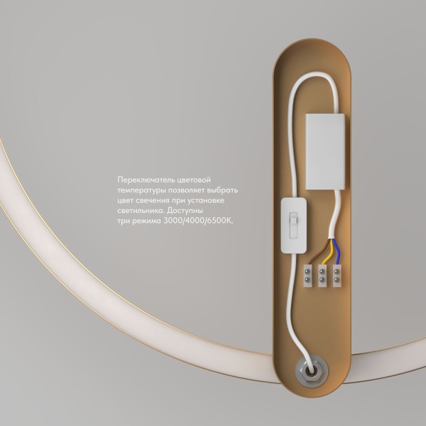 Настенный светодиодный светильник Denkirs Round DK5035-SG