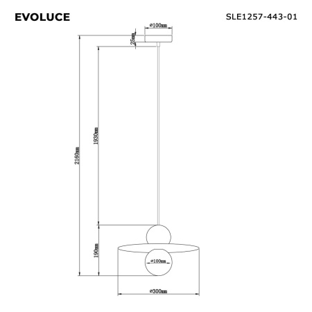 Подвесной светильник Evoluce SLE1257-443-01