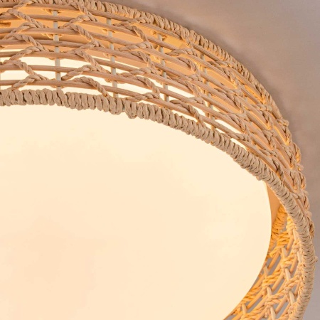 Потолочный светильник F-Promo 4749-4C