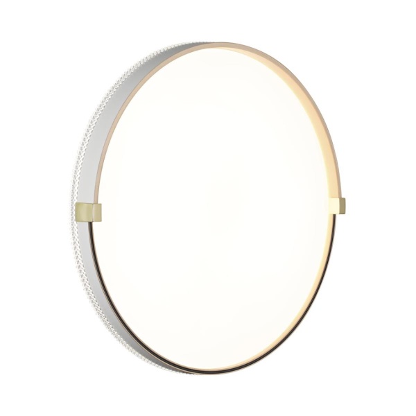 Настенно-потолочный светильник Sonex OLIDI WHITE 7646/DLN