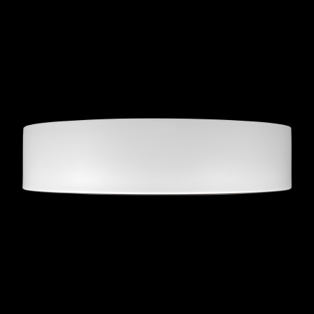 Потолочный светильник Loft it Coin 10202 WB