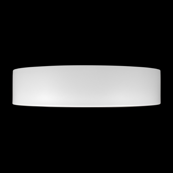 Потолочный светильник Loft it Coin 10202 WB