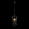 Уличный подвесной светильник Loft IT Tremezzo 100019P BS