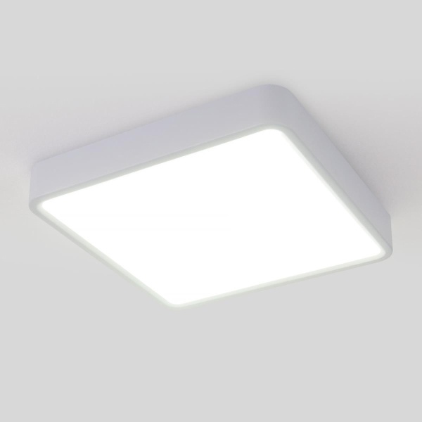 Потолочный светодиодный светильник Elektrostandard DLS034 18W 4200K a043017