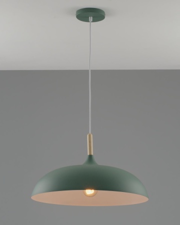 Подвесной светильник Moderli Hygo V11453-1P