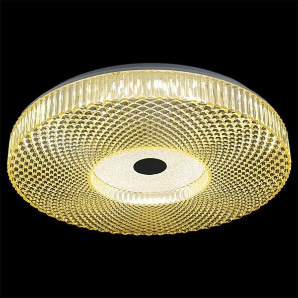 Светильник потолочный Reluce 02643-9.2-60WB