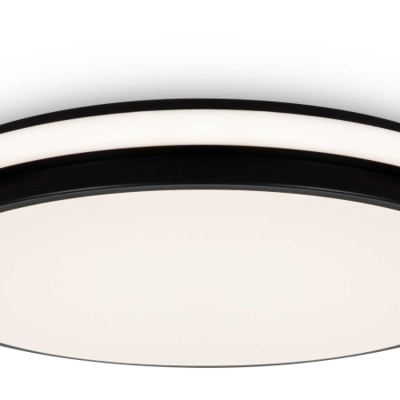 Потолочный светильник Freya Пирог / Pie FR6086CL-L117B