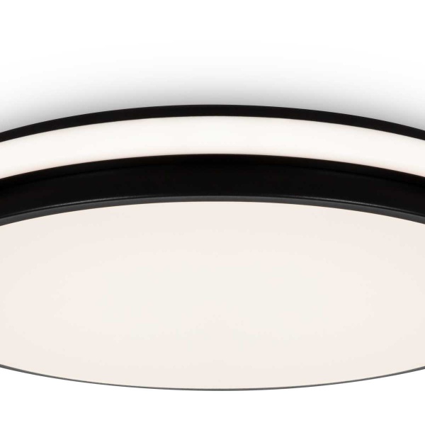 Потолочный светильник Freya Пирог / Pie FR6086CL-L117B