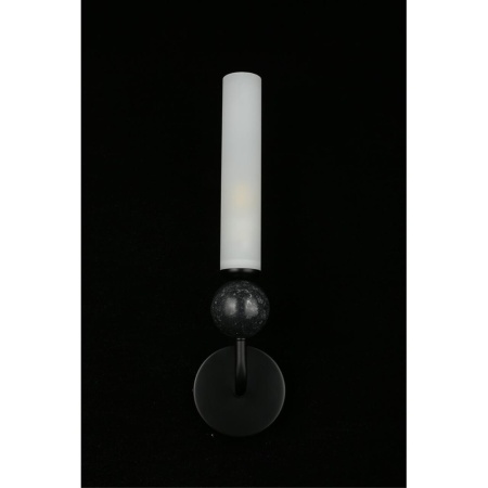 Светильник настенный Aployt Gienia APL.339.01.01