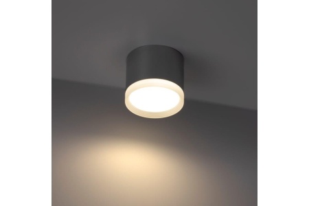 Накладной потолочный светильник Ritter Arton 59948 7