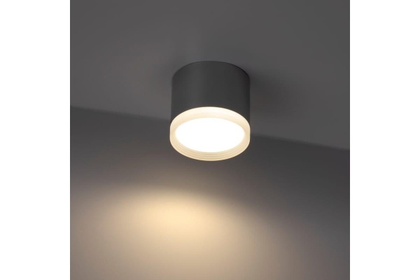 Накладной потолочный светильник Ritter Arton 59948 7