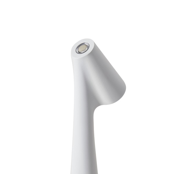 Настольная лампа Freya Clam FR6188TL-L3W