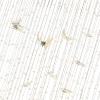 Подвесная люстра Stilfort Crystal Flight 2201/09/16PL