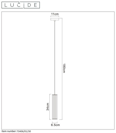 Подвесной светильник Lucide Lionel 73406/01/30