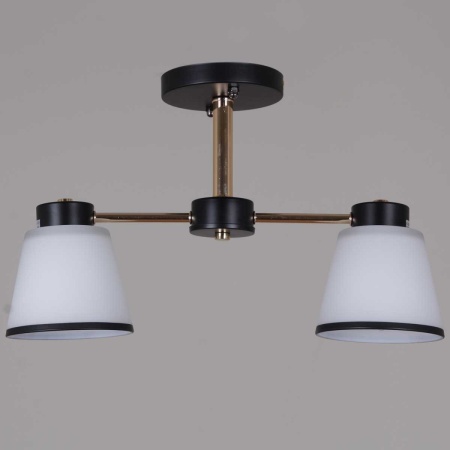 Потолочная люстра Reluce 30560-0.3-02 BK+FG