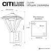 Уличный настенный светильник Citilux Genox CLU12W