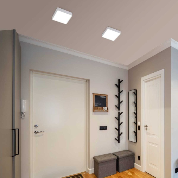 Потолочный светодиодный светильник Elektrostandard DLS034 18W 4200K a043017