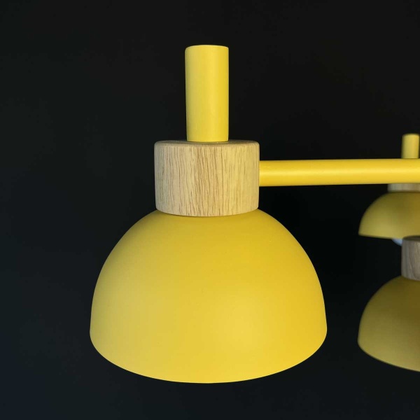 Подвесная люстра Imperium Loft Fanta 101568-26