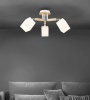 Потолочная люстра Seven Fires Melvill WD3505/3C-WT