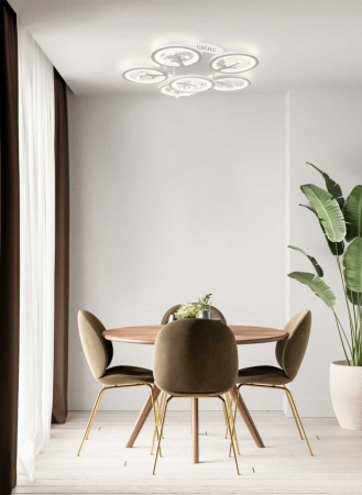 Потолочный светильник Freya FR10017CL-L92W