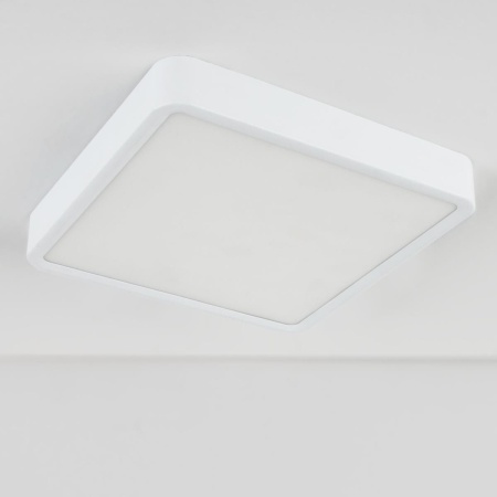 Потолочный светодиодный светильник Elektrostandard DLS034 18W 4200K a043017