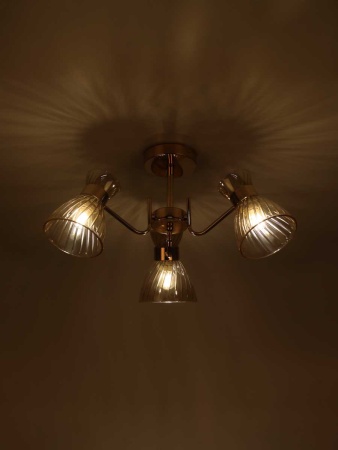 Потолочная люстра Rivoli Victoria 9183-303 Б0069943