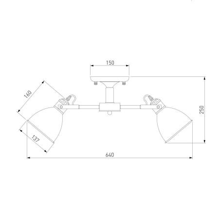 Потолочная люстра Eurosvet Denley 70112/5 черный