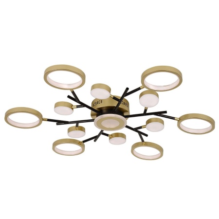 Потолочный светодиодный светильник F-Promo Hybrid 4686-13C