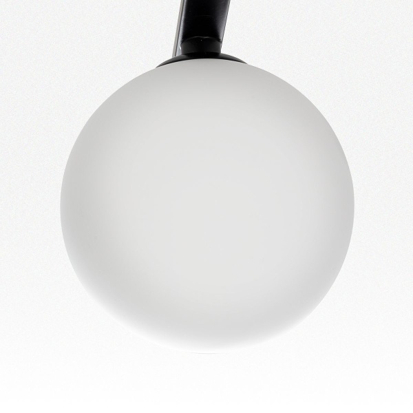 Потолочная люстра Citilux Glob CL209261