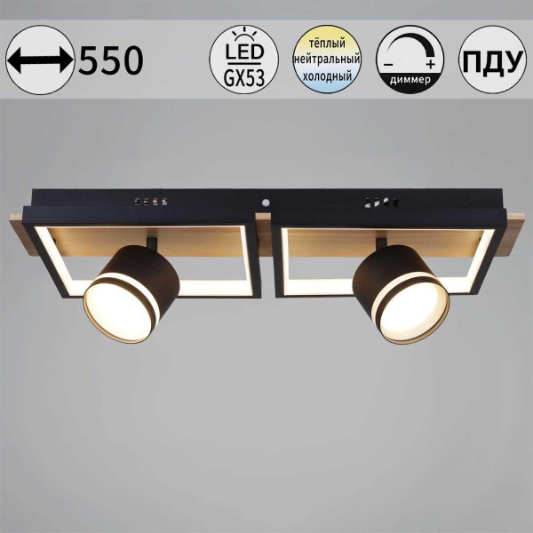 Потолочный светильник Reluce 19560-0.3-2+2 BK+WOOD