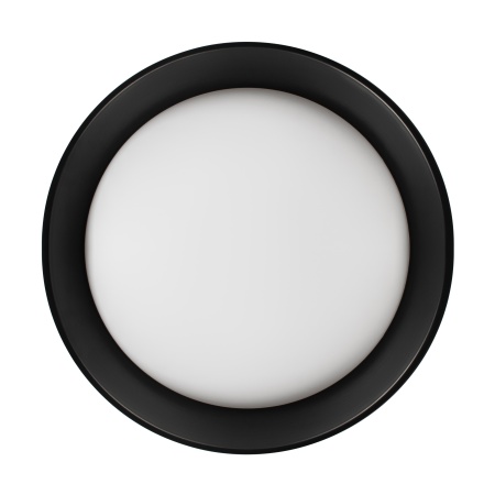 Потолочный светильник Loft it Coin 10202 BB