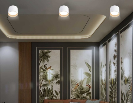 Светильник накладной Ambrella Light TN5304