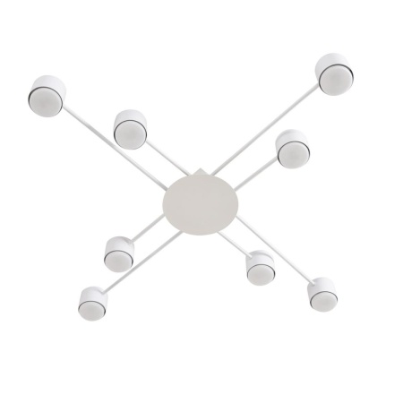 Светильник потолочный Lumion BENUA 8305/8C