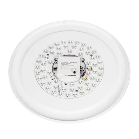 Потолочный светодиодный светильник Citilux Boss CL751350G