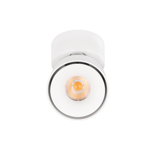 Спот Loft IT Focus 10323/A White